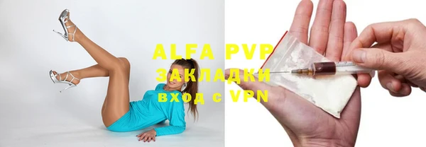 стаф Балахна