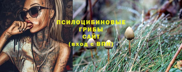 гидра Балабаново