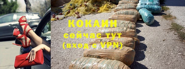 стаф Балахна
