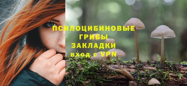 стаф Балахна